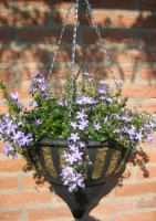Aqua Lock Hanging Basket